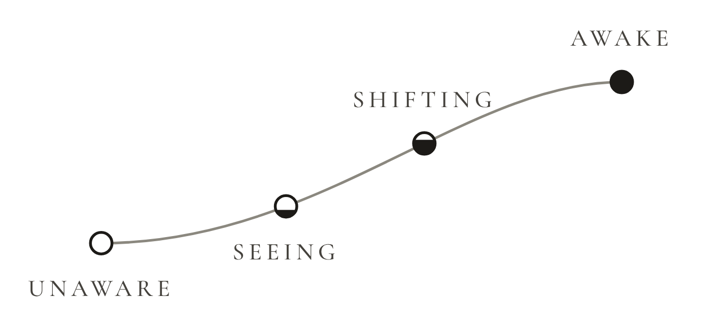Diagram of The Arc of Transformation: a rising curve from Unaware through Seeing and Shifting to Awake